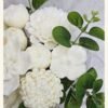 White Bloom Candle Bouquet