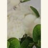 White Peony Candle